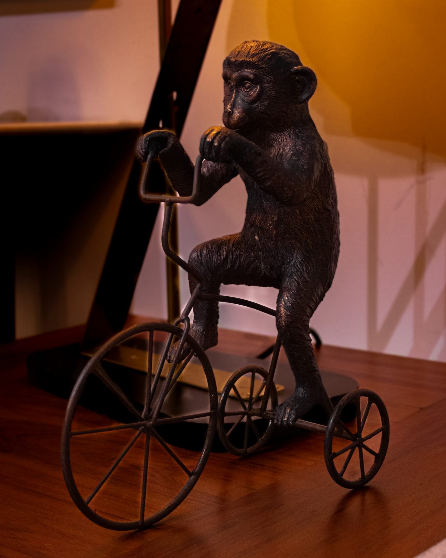 Mono Loki en bicicleta
